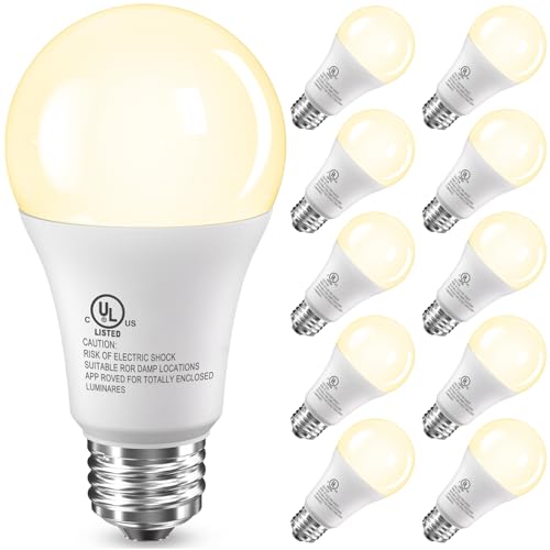 LED Light Bulbs (10 Count)