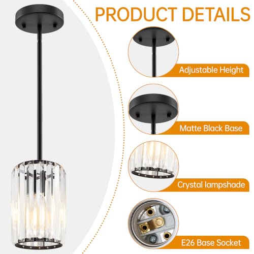 Black Pendant Light (2 Count)