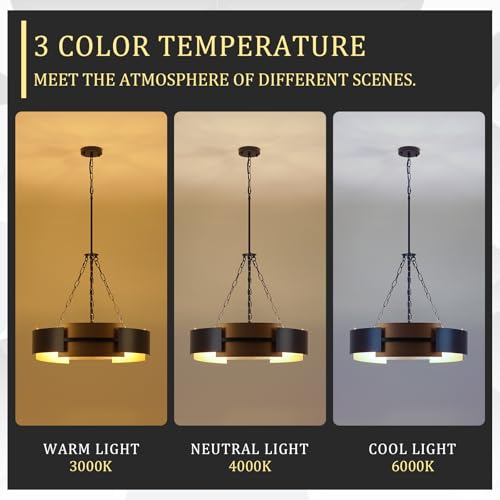 24" 6 Light Industrial Drum Chandelier with Black Gold Metal (6 Count)