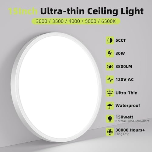 LED Flush Mount Ceiling Light