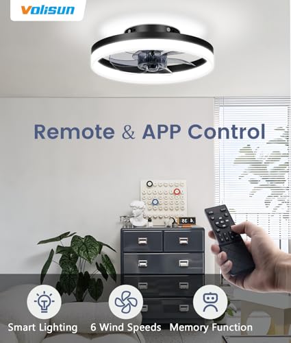 13 inch Small Ceiling Fans with Lights and Remote