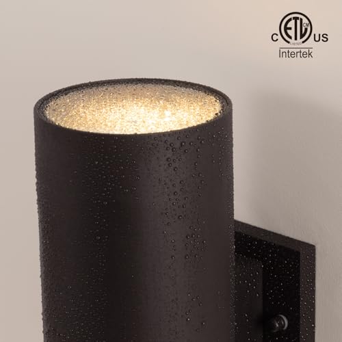 12" Modern Outdoor Porch Light 2 Lights (2 Count)
