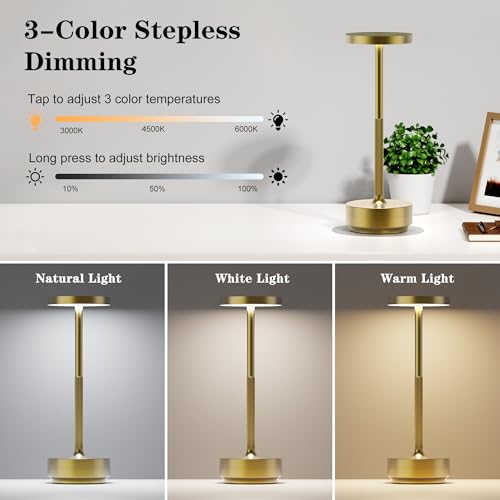 LED Ccordless Table Lamp Rechargeable (2 Count)