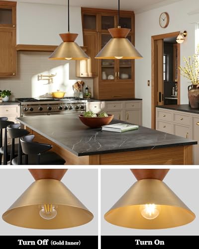 Vintage Pendant Light for Kitchen Island