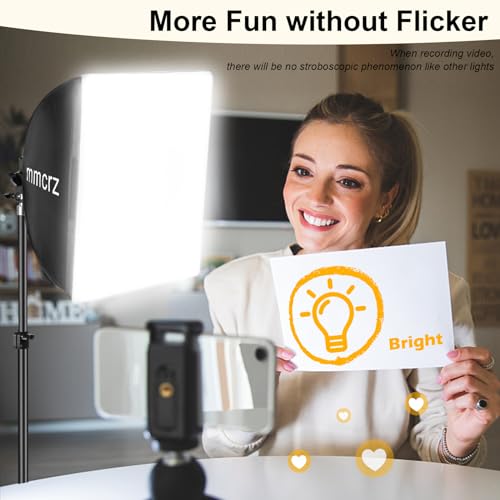2Pack Professional Softbox Lighting Kit