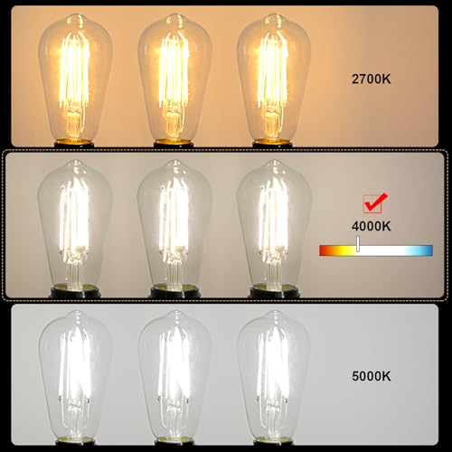 LED Edison Bulbs 6W (8 Count)