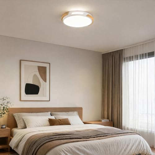 Modern LED Ceiling Light
