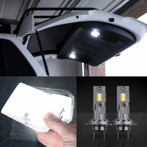 Fog Light Bulbs