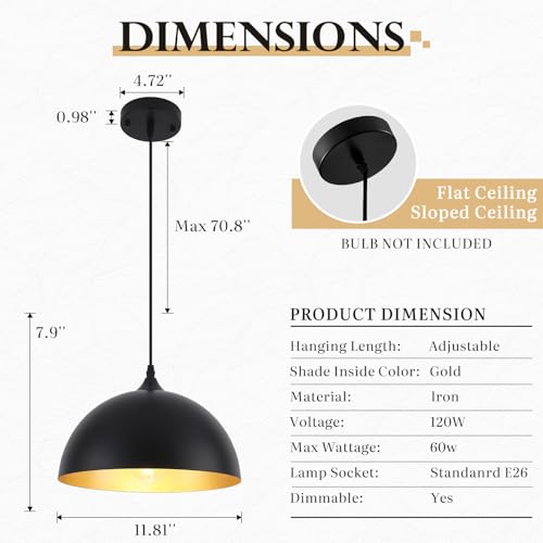 Black Pendant Light Fixtures