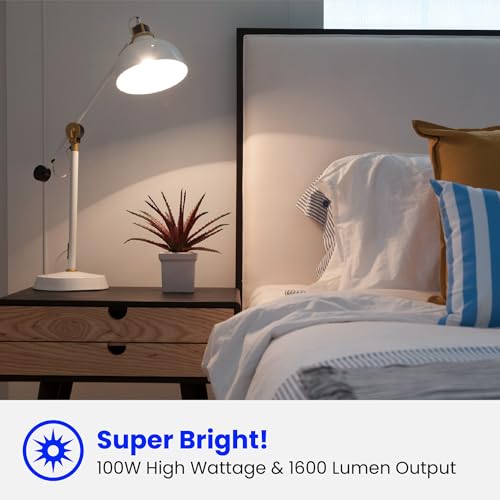 A19 100W Equivalent LED Light Bulbs (6 Count)