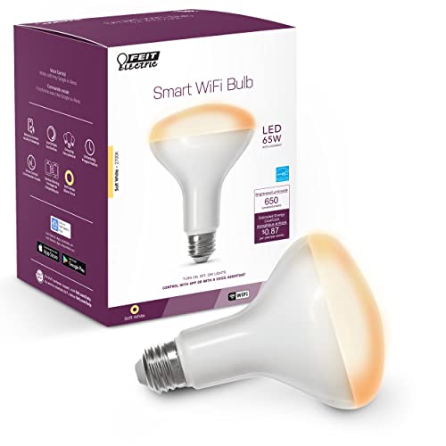 BR30 Smart Flood Light Bulb