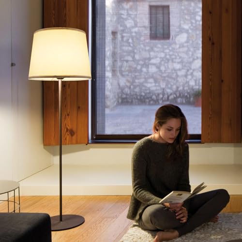 Lamp Shades Set of 2 (2 Count)