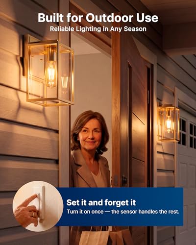 ST19 Dusk to Dawn LED Edison Bulb (2 Count)