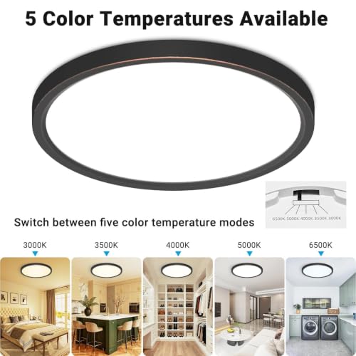 2Pack 12Inch LED Flush Mount Ceiling Light 5 Color Temperatures (2 Count)