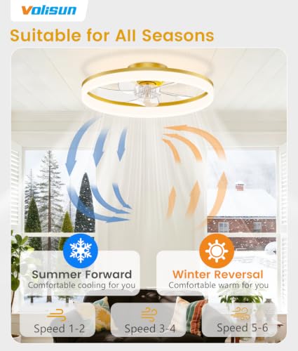 Low Profile Ceiling Fans with Lights and Remote