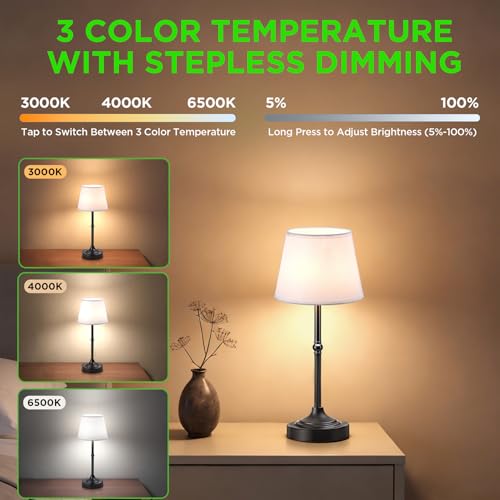 Cordless Table Lamp