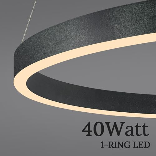 Modern LED Ring Chandelier Black Chandeliers 24in Dimmable