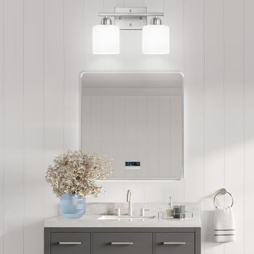 Brushed Nickel Bathroom Light