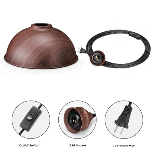 Plug in Pendant Light