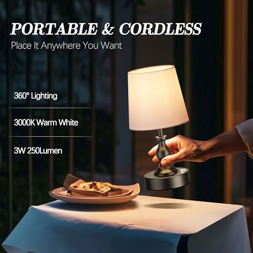 Mini Cordless LED Table Lamp