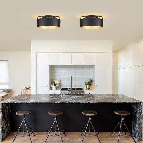 Flush Mount Ceiling Light