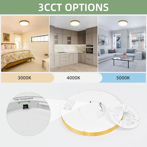 12 Inch Selectable CCT LED Round Flat Panel Light