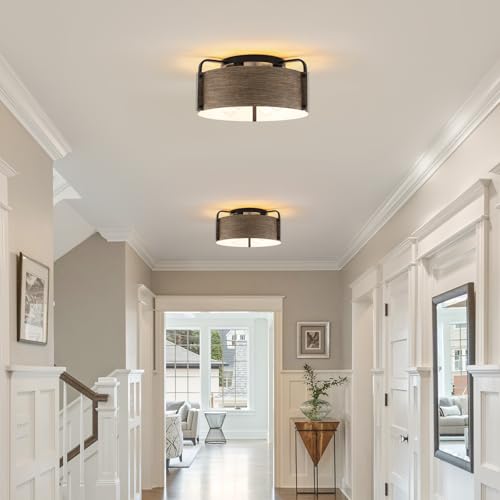 Flush Mount Ceiling Light