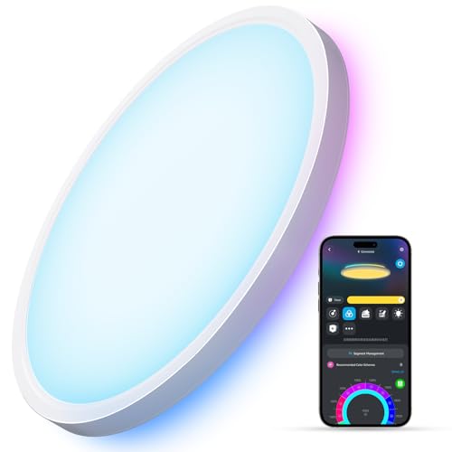 Smart Ceiling Light