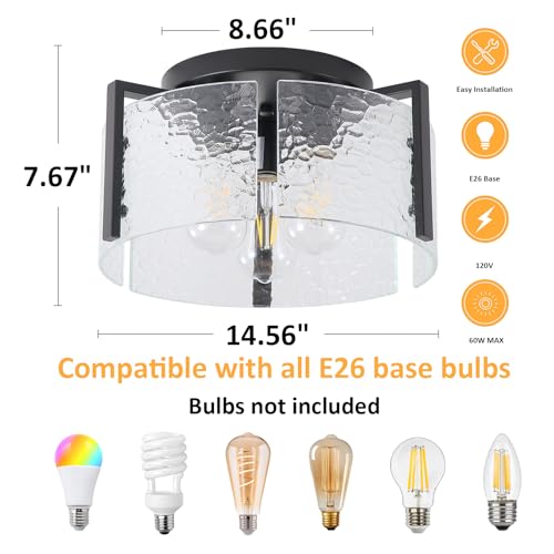 Black Flush Mount Ceiling Light Fixture