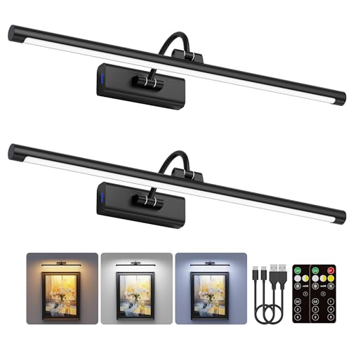 2 Pack Light for Pictures on Wall Black 8000mAh (2 Count)