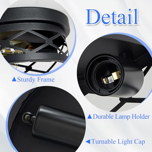 2 Pack Flush Mount Ceiling Light Fixture (2 Count)