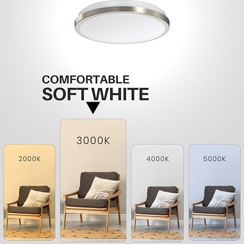 LED Ceiling Light Flush Mount 10 Inches Ceiling Light Fixture Dimmable for Bathroom