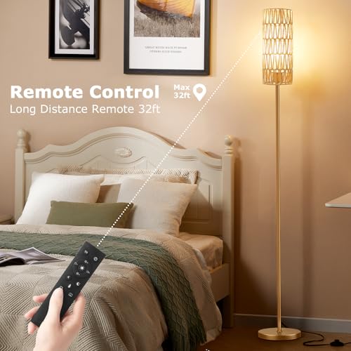 64'' Floor Lamps for Living Room with Remote Control and Stepless Dimmable Colors Temperature & Brightness