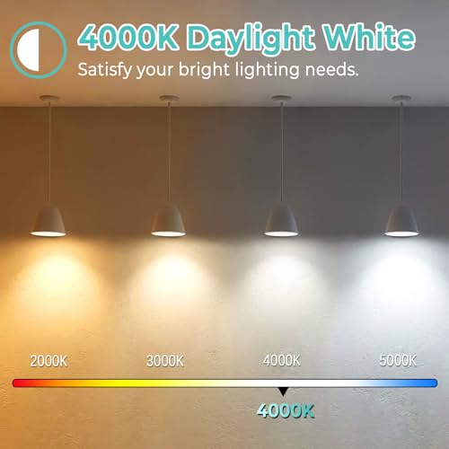 E26 LED Edison Bulbs 60 Watt Equivalent (8 Count)