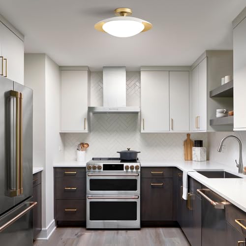 Dimmable Modern LED White and Gold Ceiling Light Fixture 15.75 in