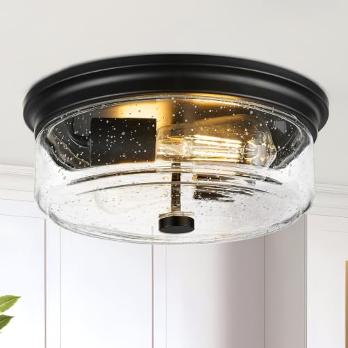 Flush Mount Ceiling Light Fixture (Matte Black)