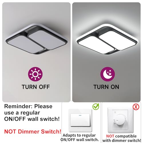 Modern LED Ceiling Light Fixture