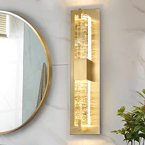 LED Wall Sconce Light
