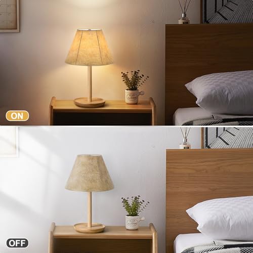 Small Lampshades Set of 2 (2 Count)