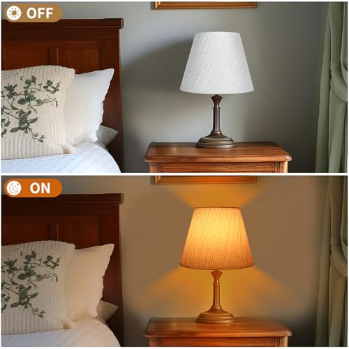 Small Lamp Shade