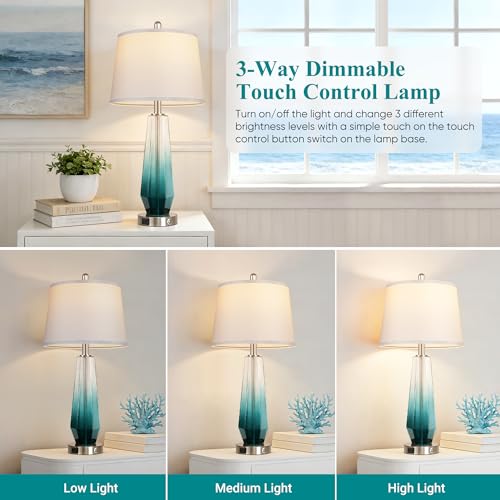 Glass Table lamps for living room (2 Count)
