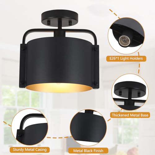 Flush Mount Ceiling Light