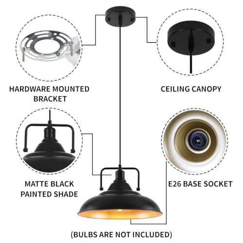 Black Pendant Light