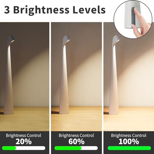 Cordless Rechargeable Reading Metal Table Lamp