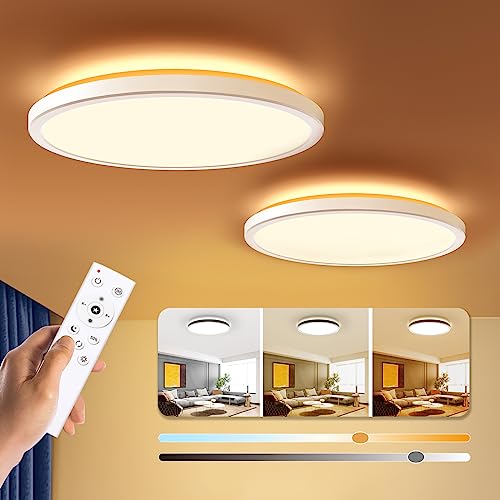 Dimmable LED Flush Mount Ceiling Light Fixture with Remote Control (2 Count)
