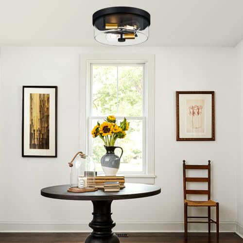 Flush Mount Ceiling Light Fixtures