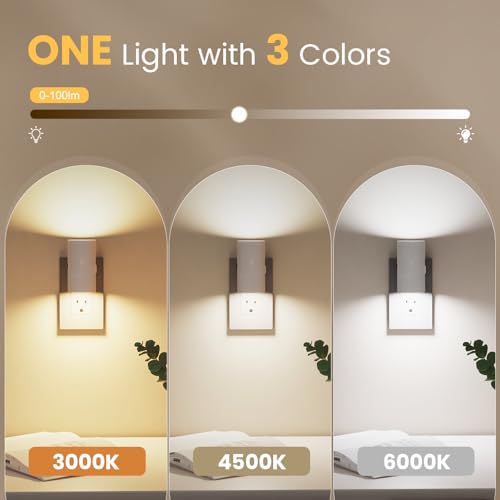 Night Lights Plug into Wall (8 Count)