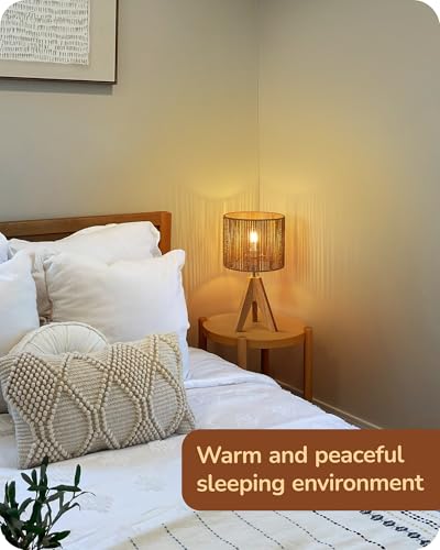 Small Rattan Table Lamp