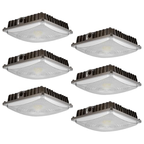 LED Canopy Lights (6 Count)