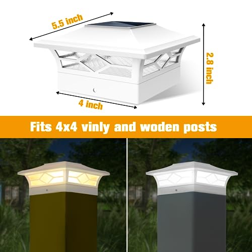 Solar Fence Post Lights (12 Count)
